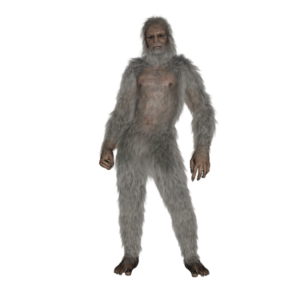 bigfoot sasquatch yeti yowie 570x570