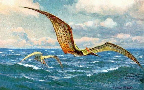 pteranodon dinosaur pterodactyl pteranodon 570x358