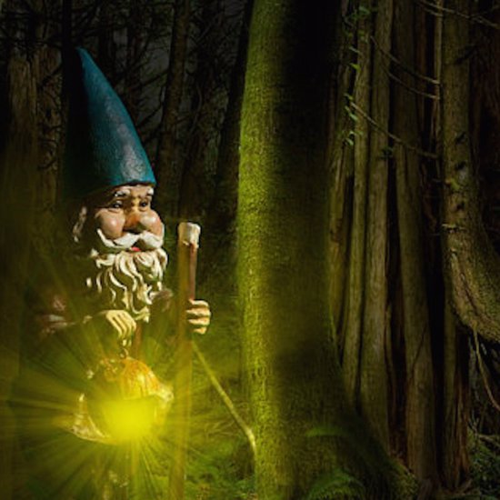Strange Encounters with Real Gnomes