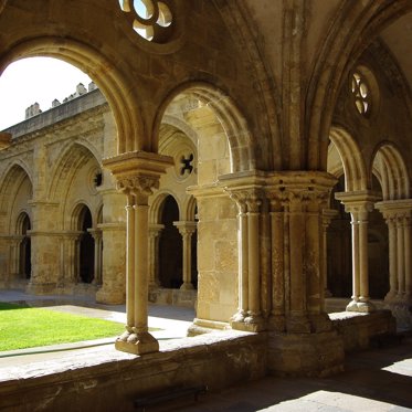 A Mysterious Mold is Eating an 800-Year-Old Cathedral