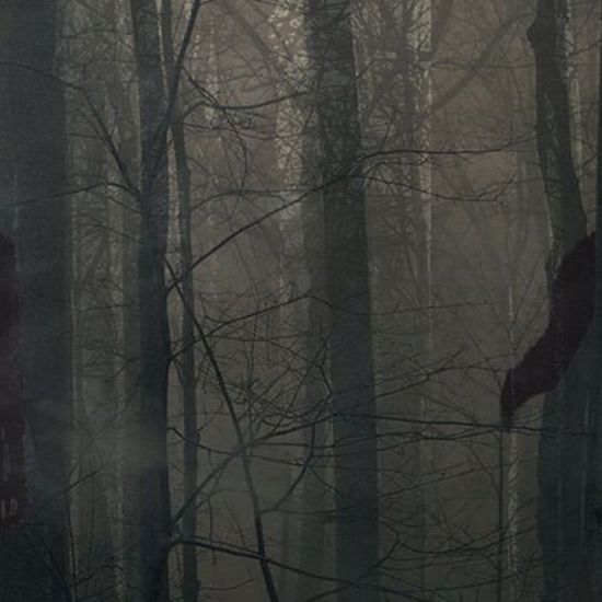 Creepy Accounts of Mysterious Phantoms in the Forest