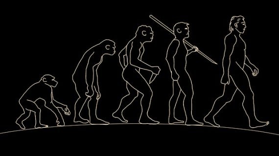 evolution of man early hominids neanderthals denisovans 570x320