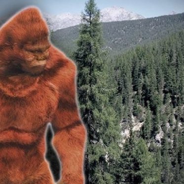 The Great Georgia Bigfoot Hoax and Beyond