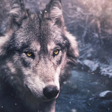 Mysterious Historical Cases of Real Werewolves