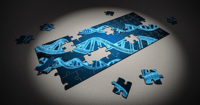 Gene editing puzzle