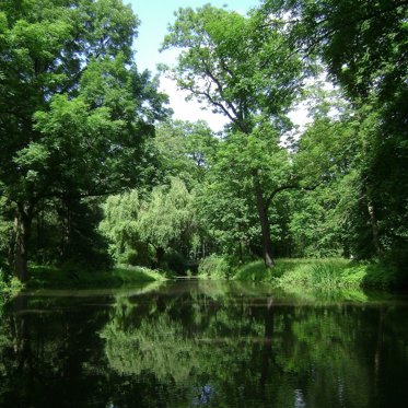 Archaeologists Uncover 2,000-Year-Old Village Hidden In A Forest