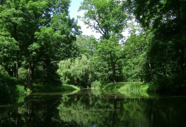 Archaeologists Uncover 2,000-Year-Old Village Hidden In A Forest