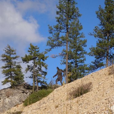 Man Says He Came Face-To-Face With An Australian Bigfoot