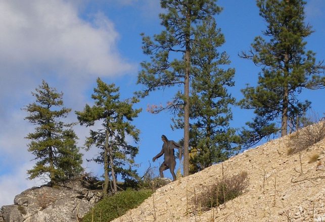 Man Says He Came Face-To-Face With An Australian Bigfoot