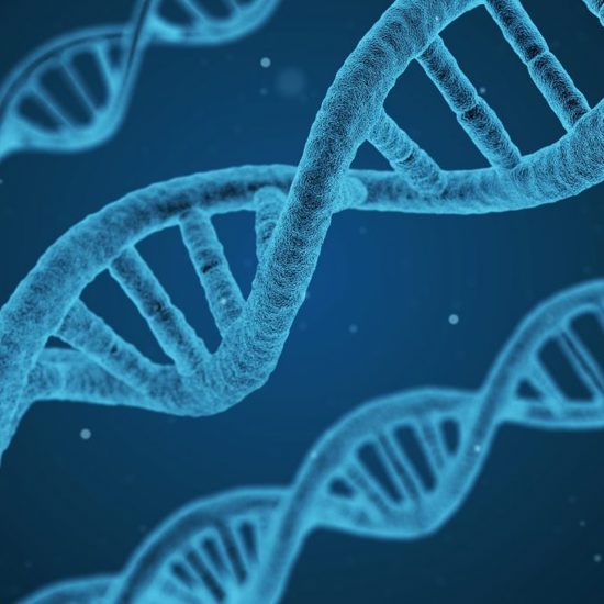 Shocking Report on the World’s First Gene-Edited CRISPR Babies