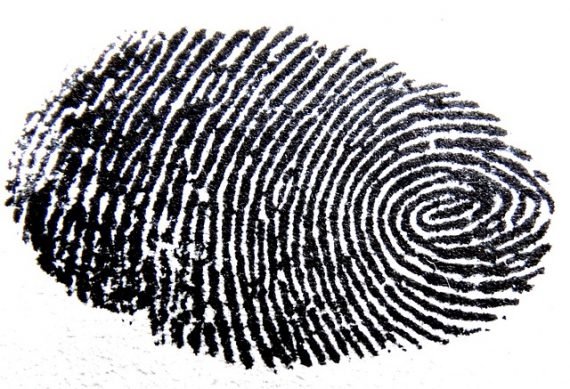 fingerprint 456483 640 570x389
