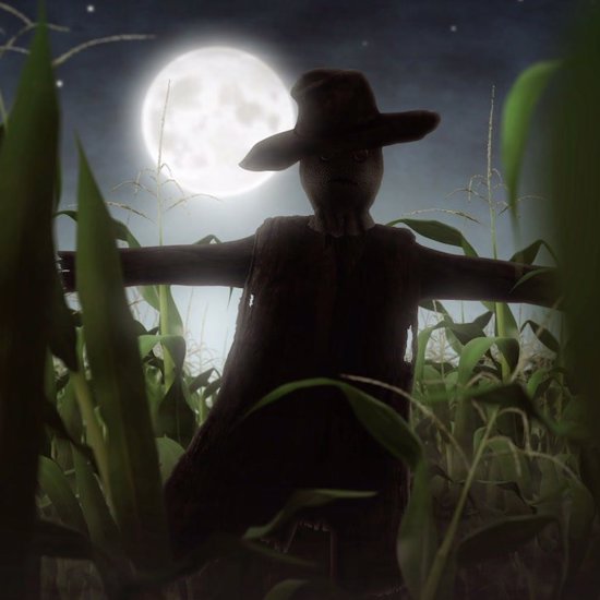 Spooky Paranormal Encounters in Cornfields