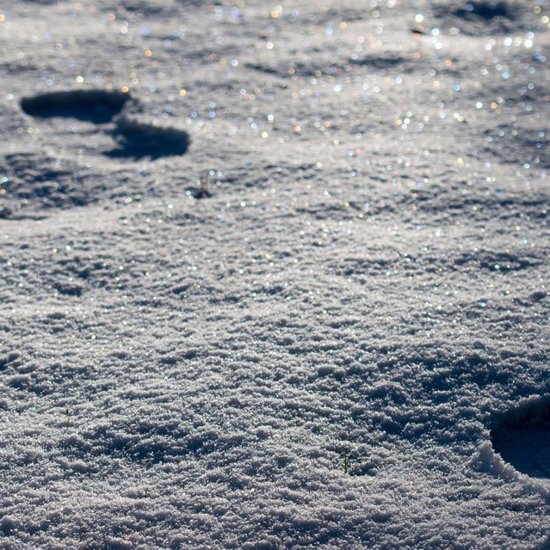 Move Over, Crop Circles — Mysterious Snow Bear Outline Defies Explanation