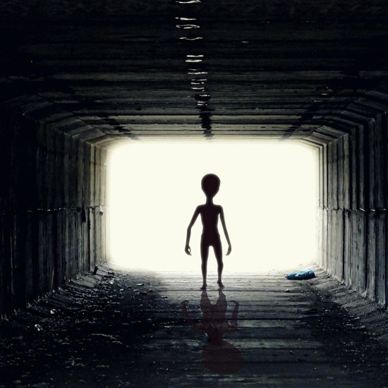 Scientists Suggest We Could Be Living In A “Galactic Zoo” Run By Aliens