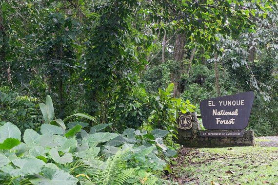 El Yunque National Forest sign May 2017 570x380