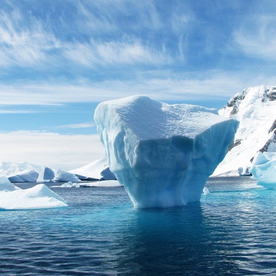 Odd-Looking Green Icebergs Are Good For Marine Life