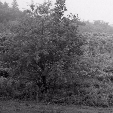 Mysterious Ancient Structure in North Carolina to Return to Its Rightful Owners