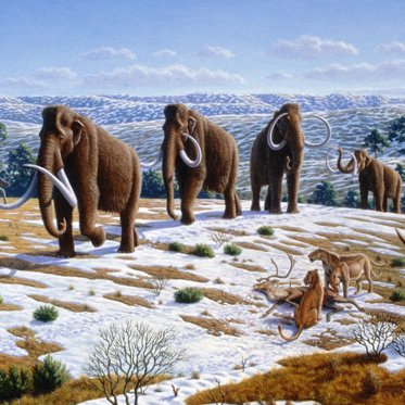 Biological Activity Reveals Major Step Forward In Bringing Back The Woolly Mammoth