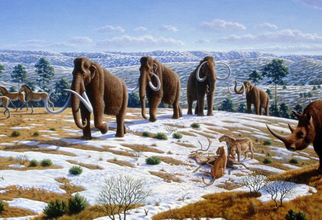 Biological Activity Reveals Major Step Forward In Bringing Back The Woolly Mammoth