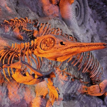 Killing Field From the Day the Dinosaurs Died Found in North Dakota