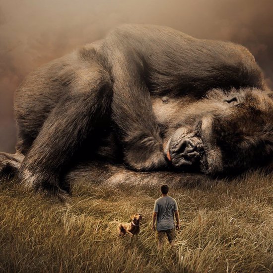 Bigfoot: From Ancient Ape to Supernatural Beast
