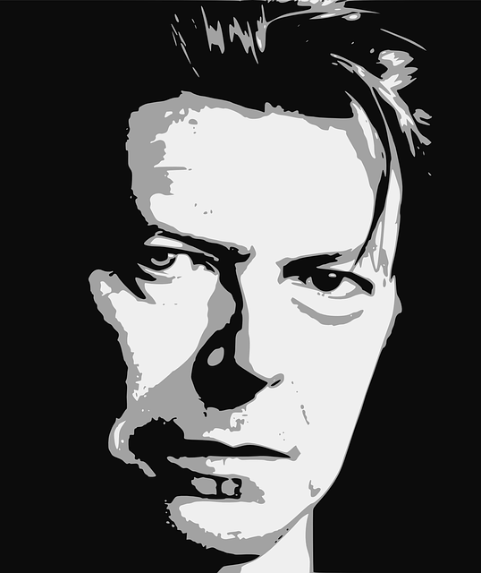 bowie 1152551 640