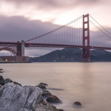 The Mysterious Sea Monsters of San Francisco Bay