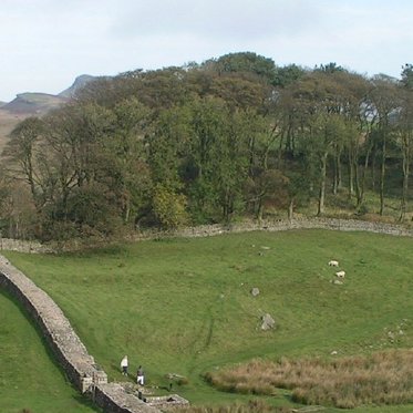 Ancient Roman Military Phallus Drawing Found Near Hadrian’s Wall