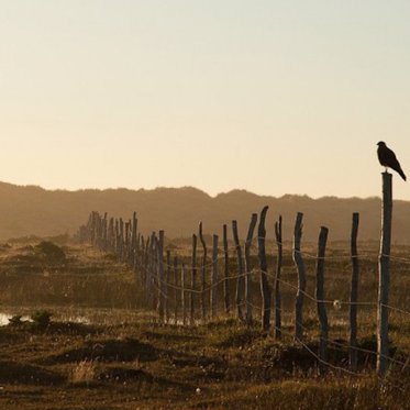 Chile’s Mysterious Island of Warlocks