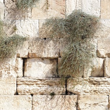 Archaeologists Uncover Ancient Jewish Village From The Time Of Jesus