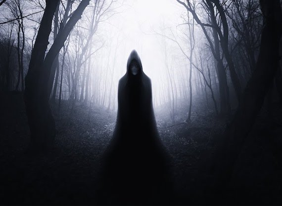 Paranormal Encounters at Japan’s Haunted Suicide Forest