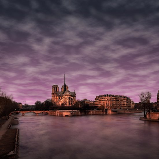 The Ghosts of Notre-Dame Cathedral
