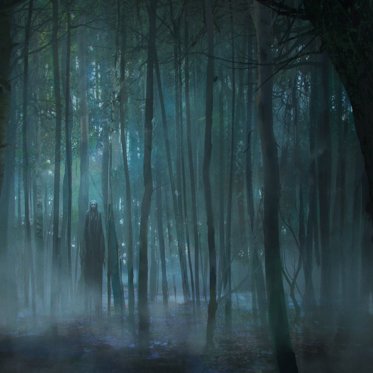 Paranormal Encounters at Japan’s Haunted Suicide Forest