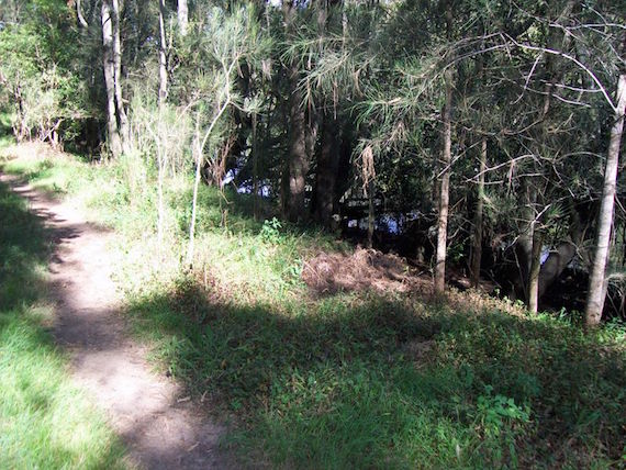 Bogle  Chandler bodies site Lane Cove River