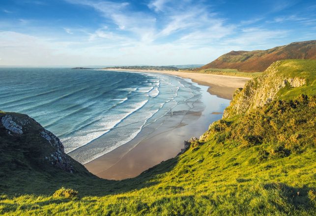 Prehistoric Forest Buried For Thousands Of Years Uncovered By A Storm