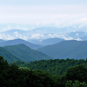 Two Bigfoot Sightings in One Week in Northern Georgia