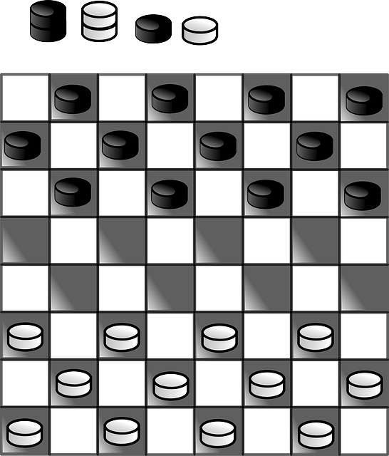 checker 29911 640