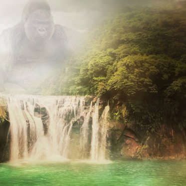 Taking a Look at the U.K.’s Ghostly Apes and a Massive Monkey