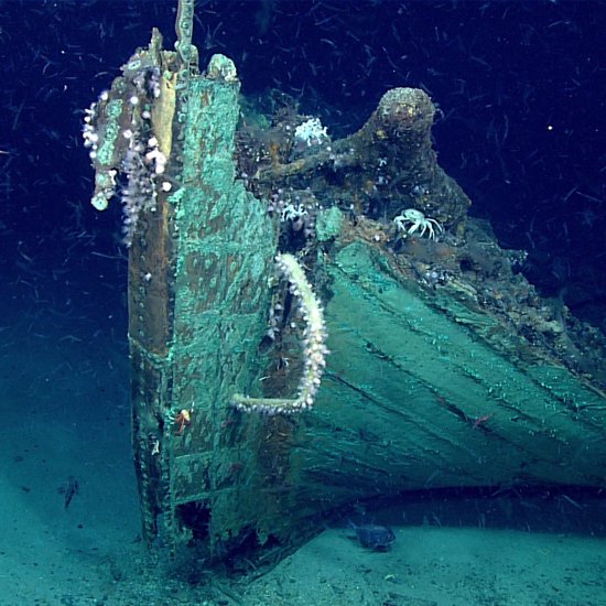 Mysterious 19th-Century Shipwreck Discovered by Accident