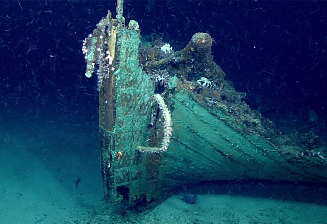 Mysterious 19th-Century Shipwreck Discovered by Accident