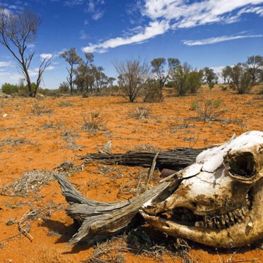 A Mysterious Vanishing in the Outback