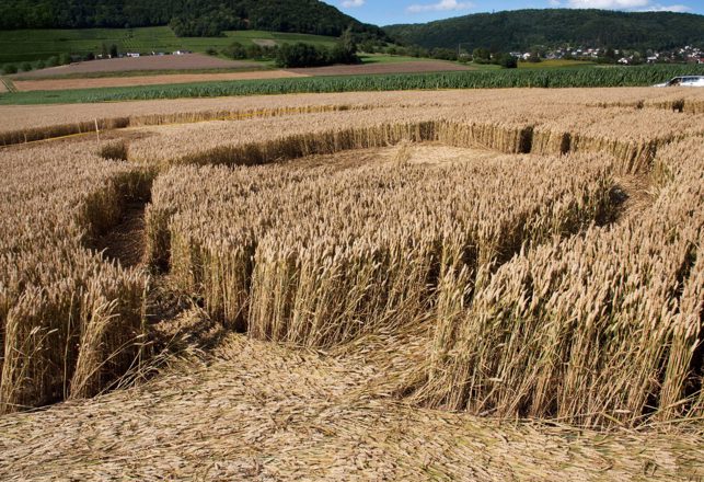 Police Issue Warning After Crop Circles Appear in Rural England