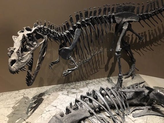 The Strange Case of a Living Dinosaur in the Far North