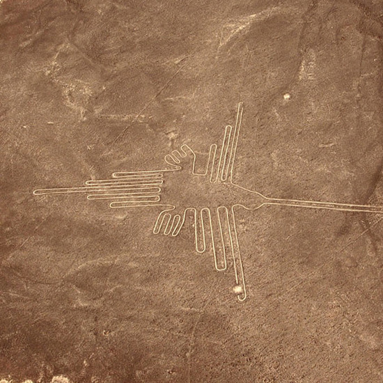 Ornithologists May Have Solved the Mystery of the Nazca Lines Birds