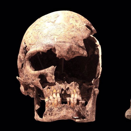 Ancient Humans Elongated Their Skulls To Show Wealth And Social Status