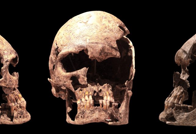 Ancient Humans Elongated Their Skulls To Show Wealth And Social Status