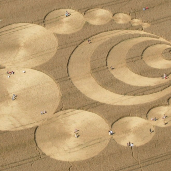 The Circle Effect: Crop Circles and Claims of “Natural” Flattened Formations