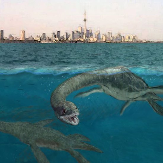 The Mysterious Monster of Lake Ontario