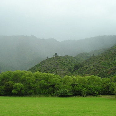 Hunt Begins for Moehau Man — New Zealand’s Bigfoot