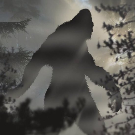 Bigfoot: From Multi-Dimensions to Worm-Holes and the Mystery of Mothman